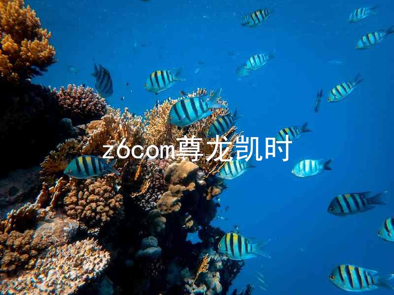 z6com尊龙凯时