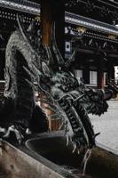 深度解析：ag尊龙凯时俱乐部独特的运营策略与成功秘诀