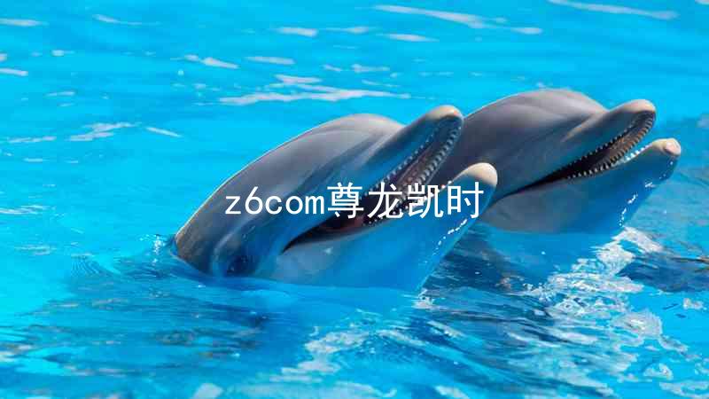 z6com尊龙凯时